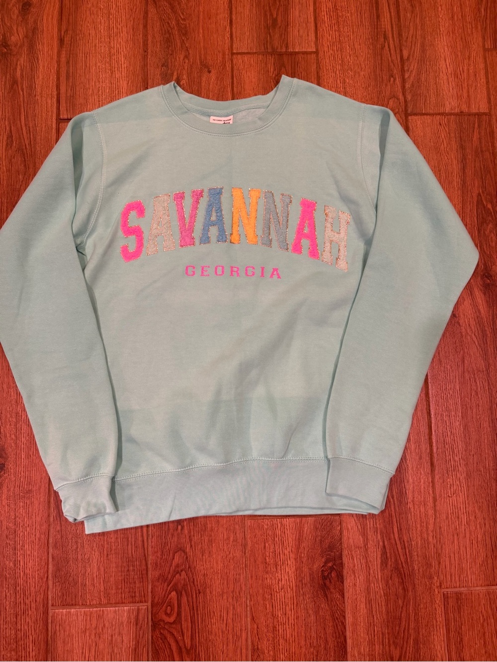 Savannah Georgia Light Teal pacific & co Crewneck Sweatshirt / medium / nwot